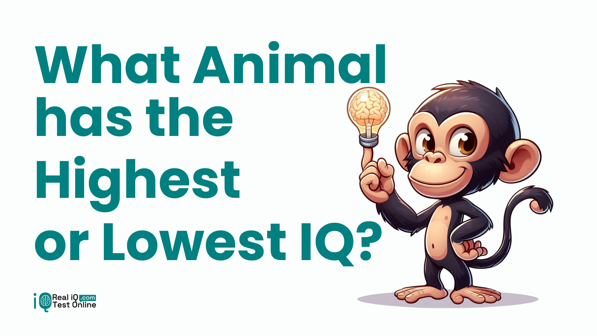 What Animal Has the Highest or Lowest IQ