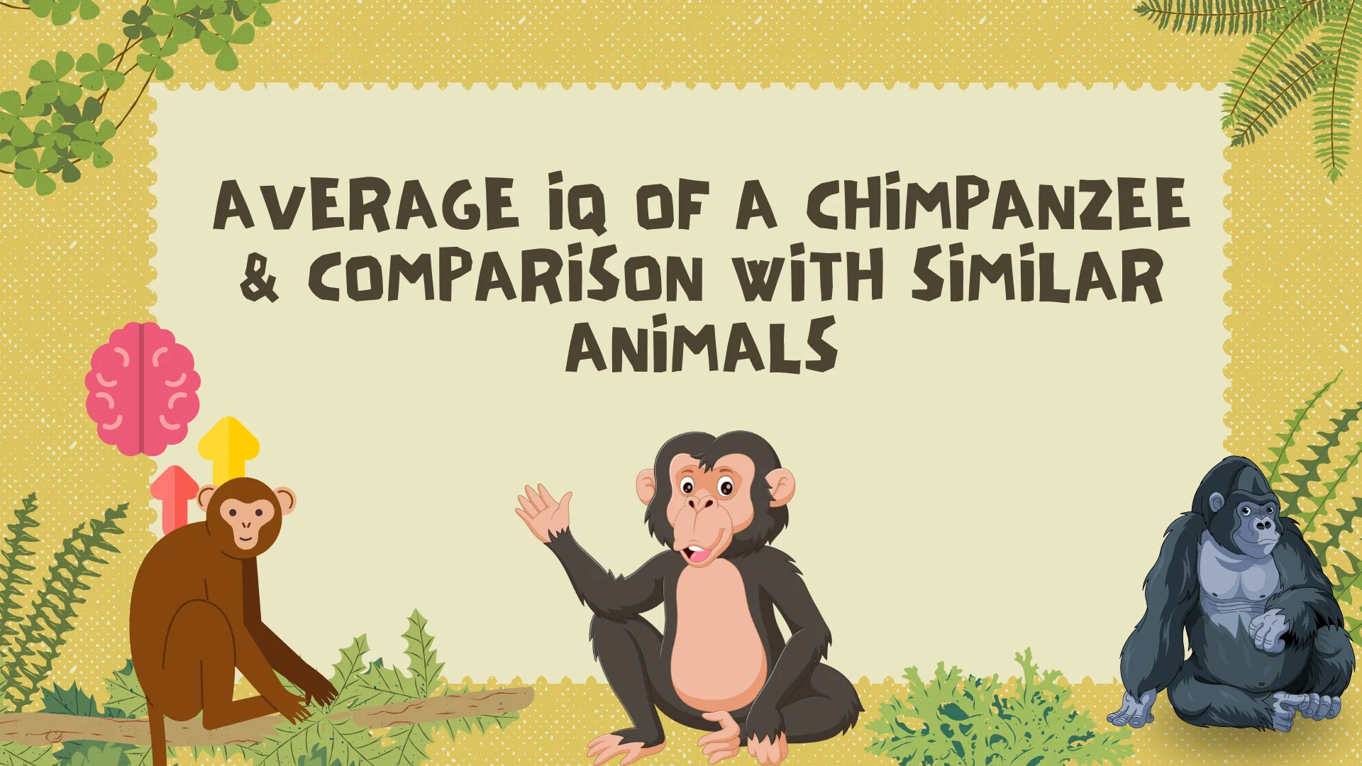 Average IQ Of A Chimpanzee & Comparison With Similar Animals