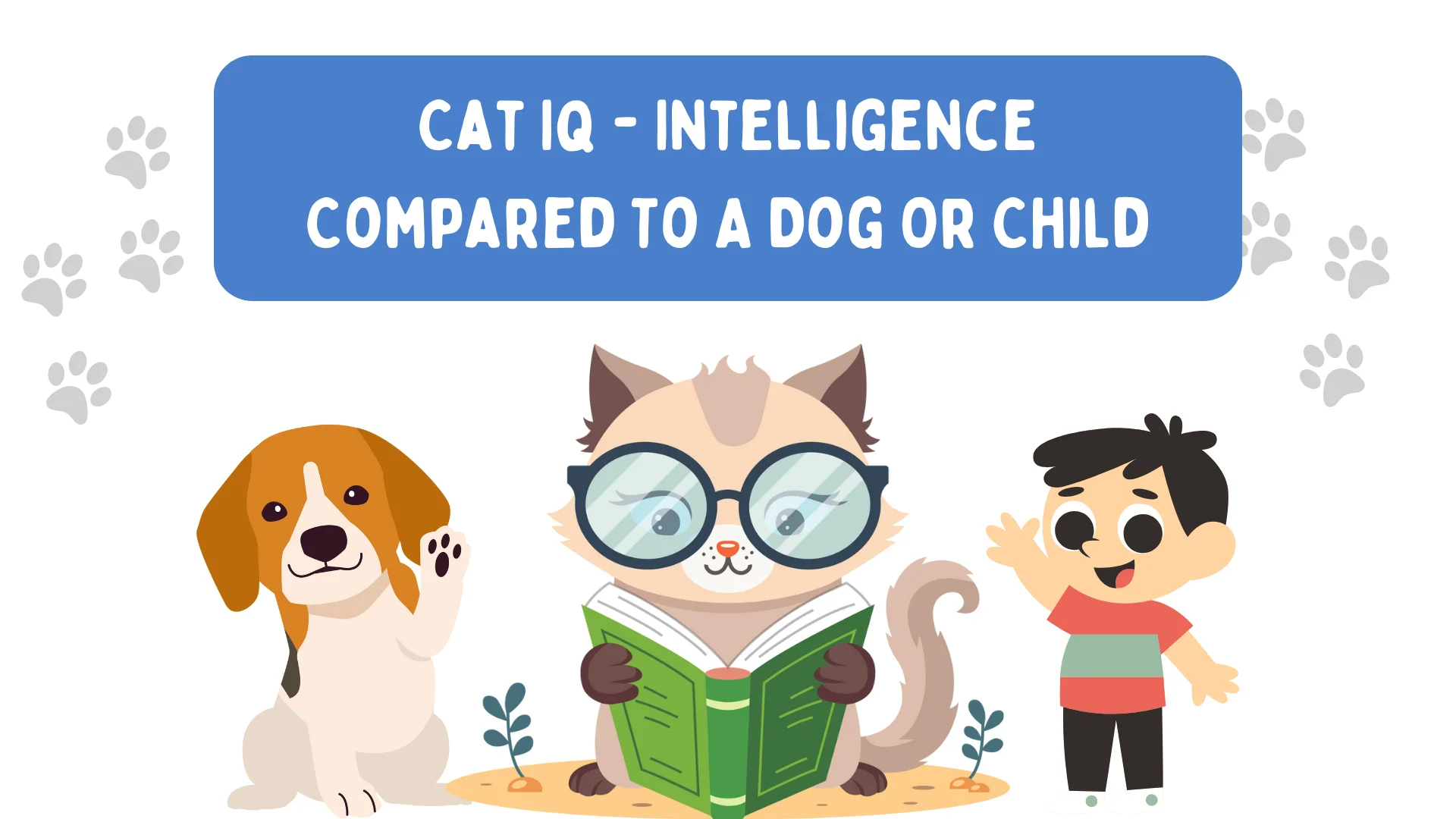 Cat Iq - Intelligence Compared To A Dog Or Child