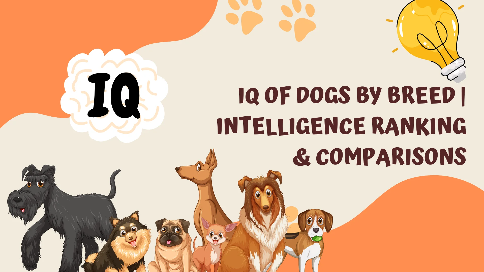 Iq Of Dogs By Breed _ Intelligence Ranking & Comparisons